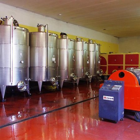 Cascina Bertolotto Wine Resort Spigno Monferrato Dış mekan fotoğraf