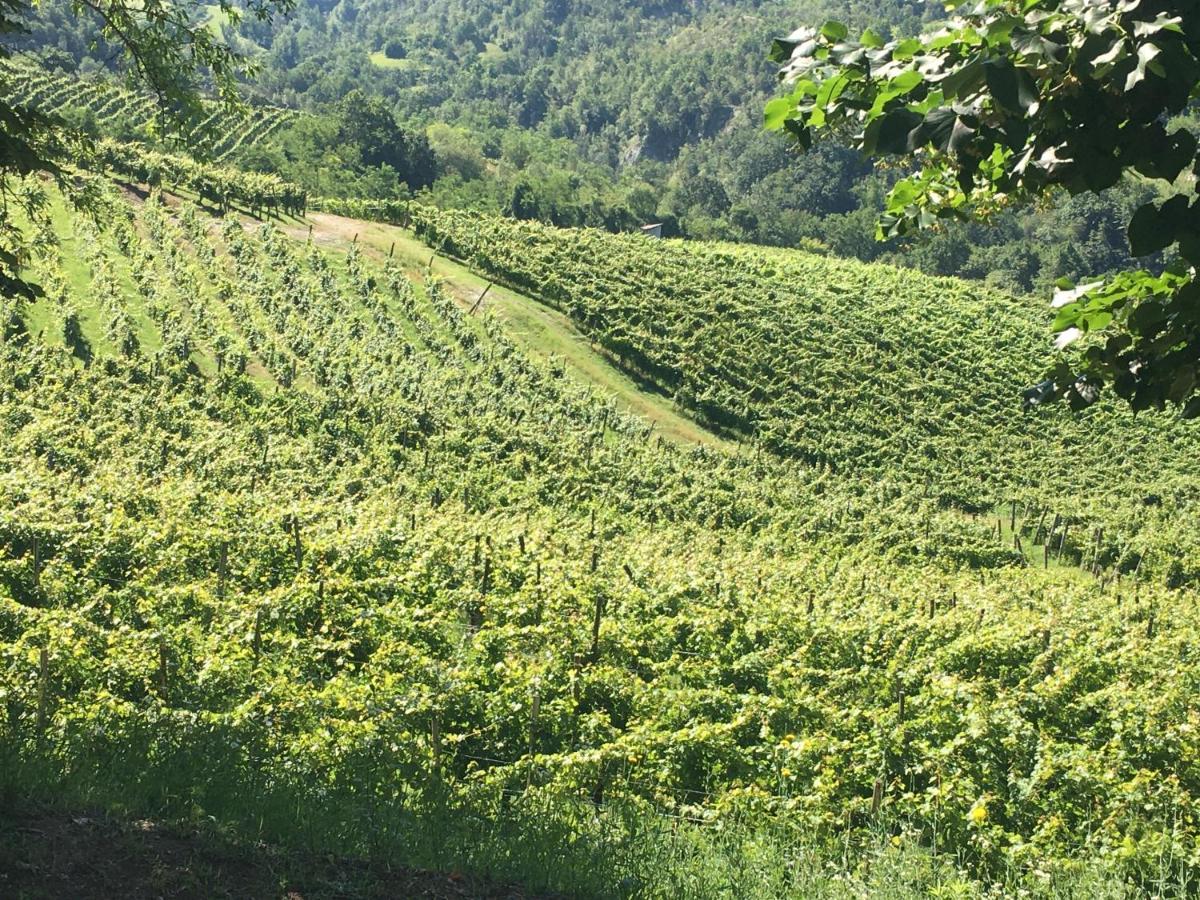 Cascina Bertolotto Wine Resort Spigno Monferrato Dış mekan fotoğraf