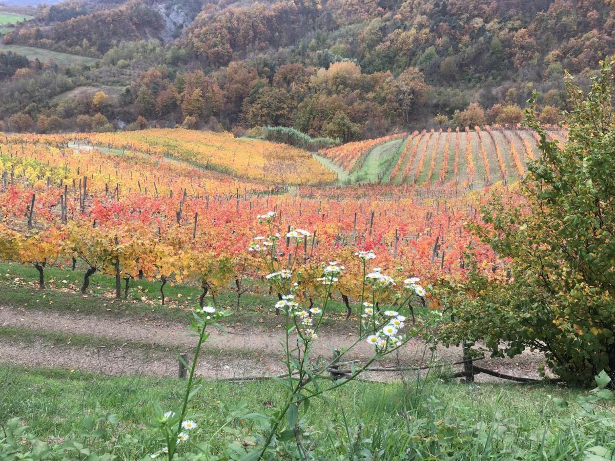 Cascina Bertolotto Wine Resort Spigno Monferrato Dış mekan fotoğraf