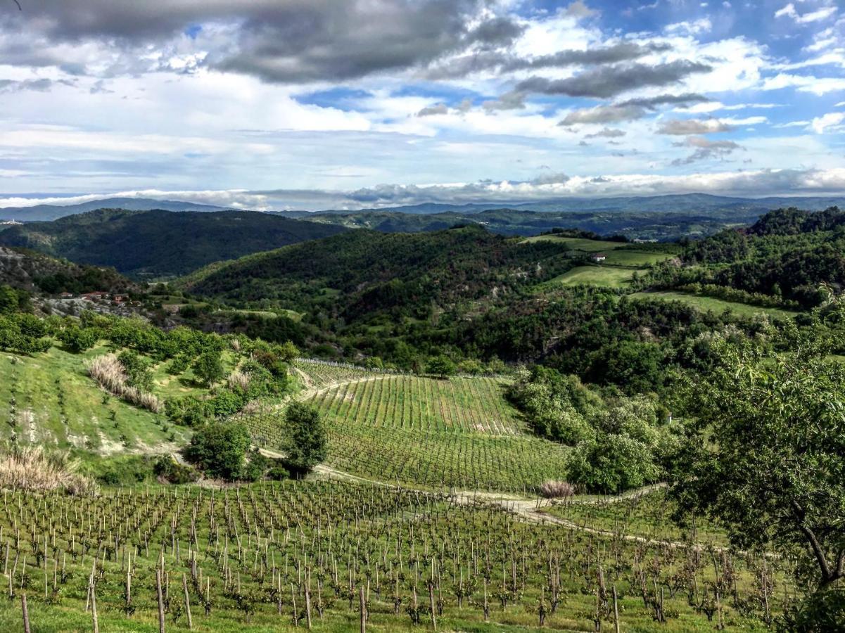 Cascina Bertolotto Wine Resort Spigno Monferrato Dış mekan fotoğraf