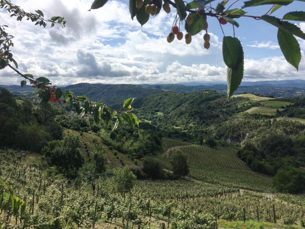 Cascina Bertolotto Wine Resort Spigno Monferrato Dış mekan fotoğraf