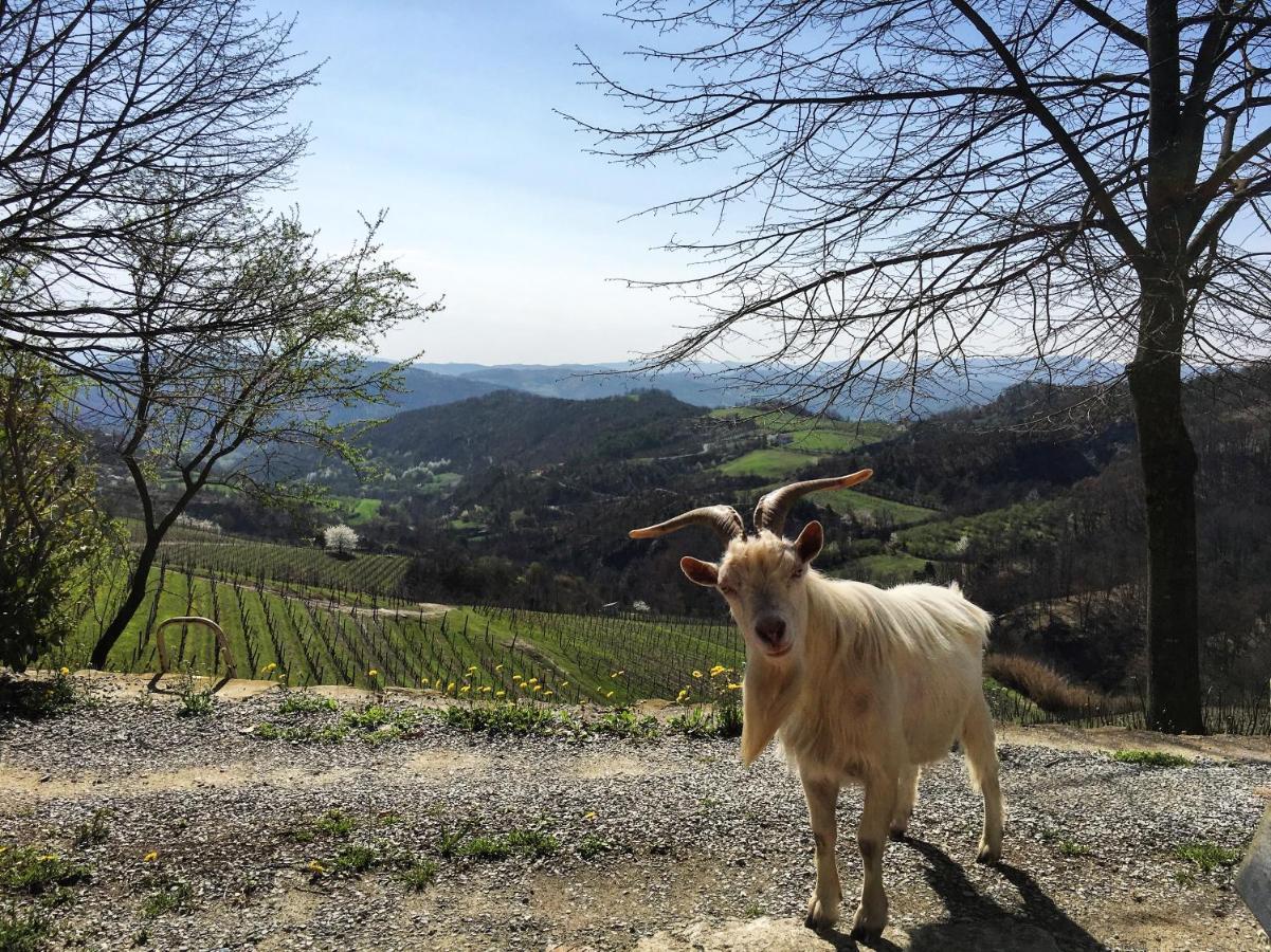 Cascina Bertolotto Wine Resort Spigno Monferrato Dış mekan fotoğraf