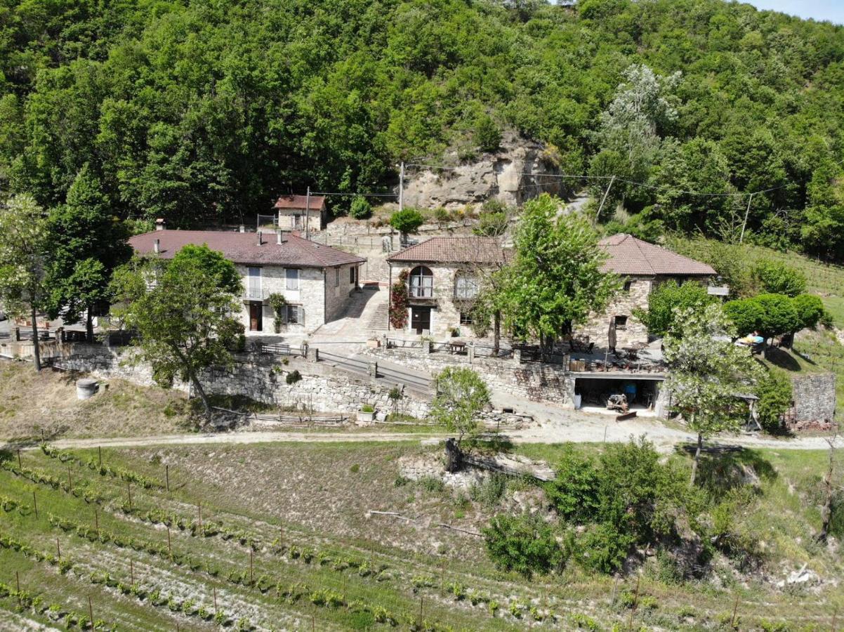 Cascina Bertolotto Wine Resort Spigno Monferrato Dış mekan fotoğraf