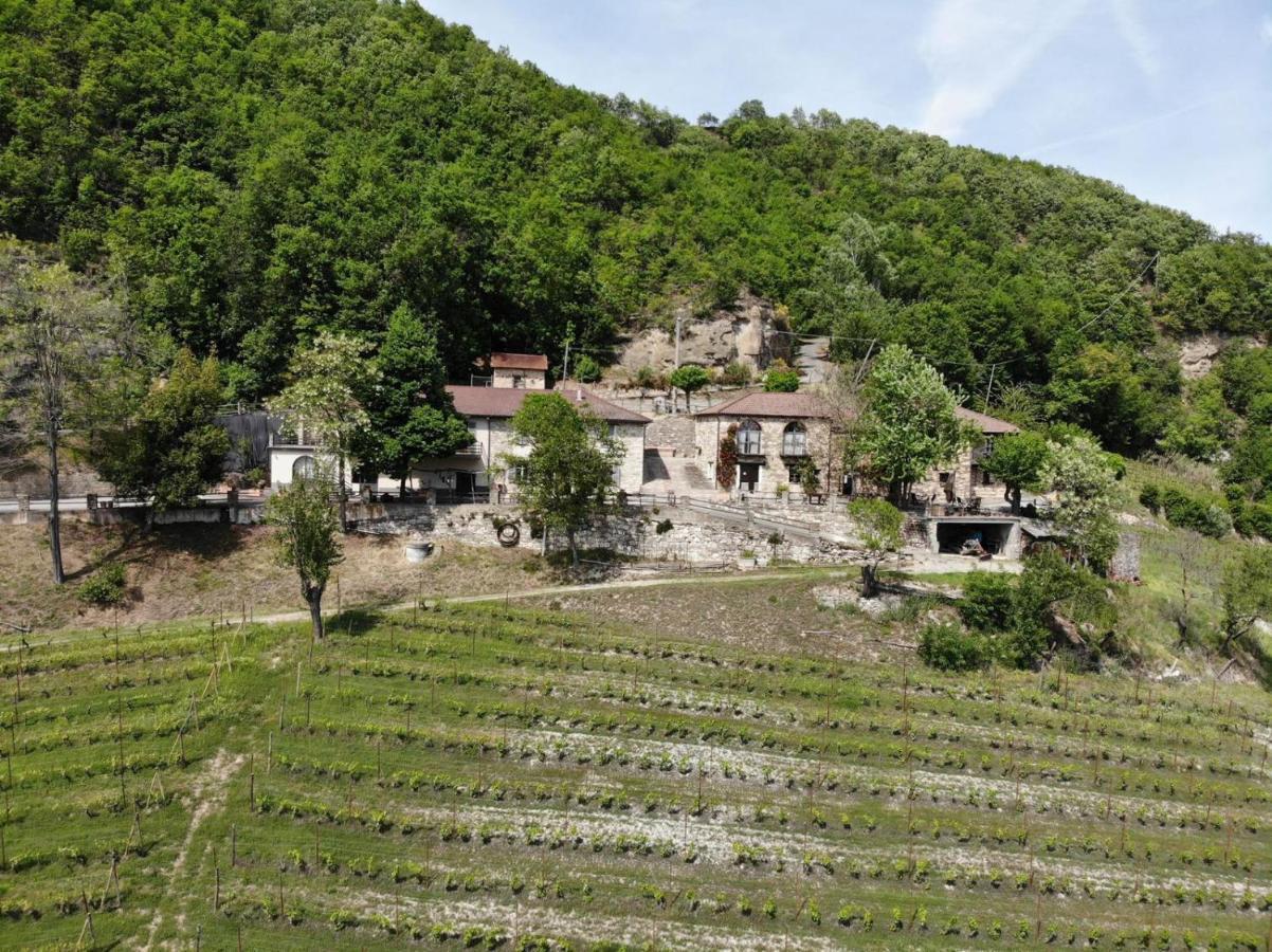 Cascina Bertolotto Wine Resort Spigno Monferrato Dış mekan fotoğraf