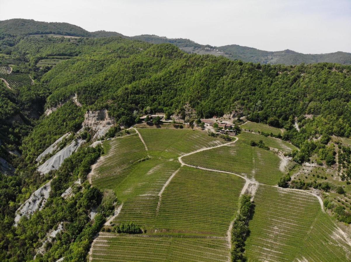 Cascina Bertolotto Wine Resort Spigno Monferrato Dış mekan fotoğraf