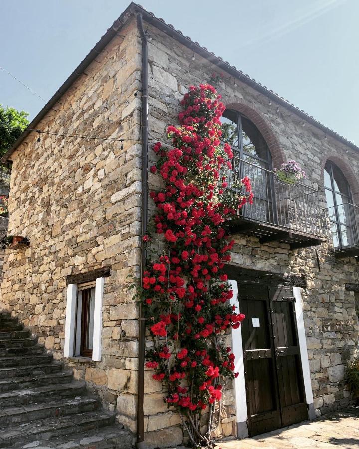 Cascina Bertolotto Wine Resort Spigno Monferrato Dış mekan fotoğraf