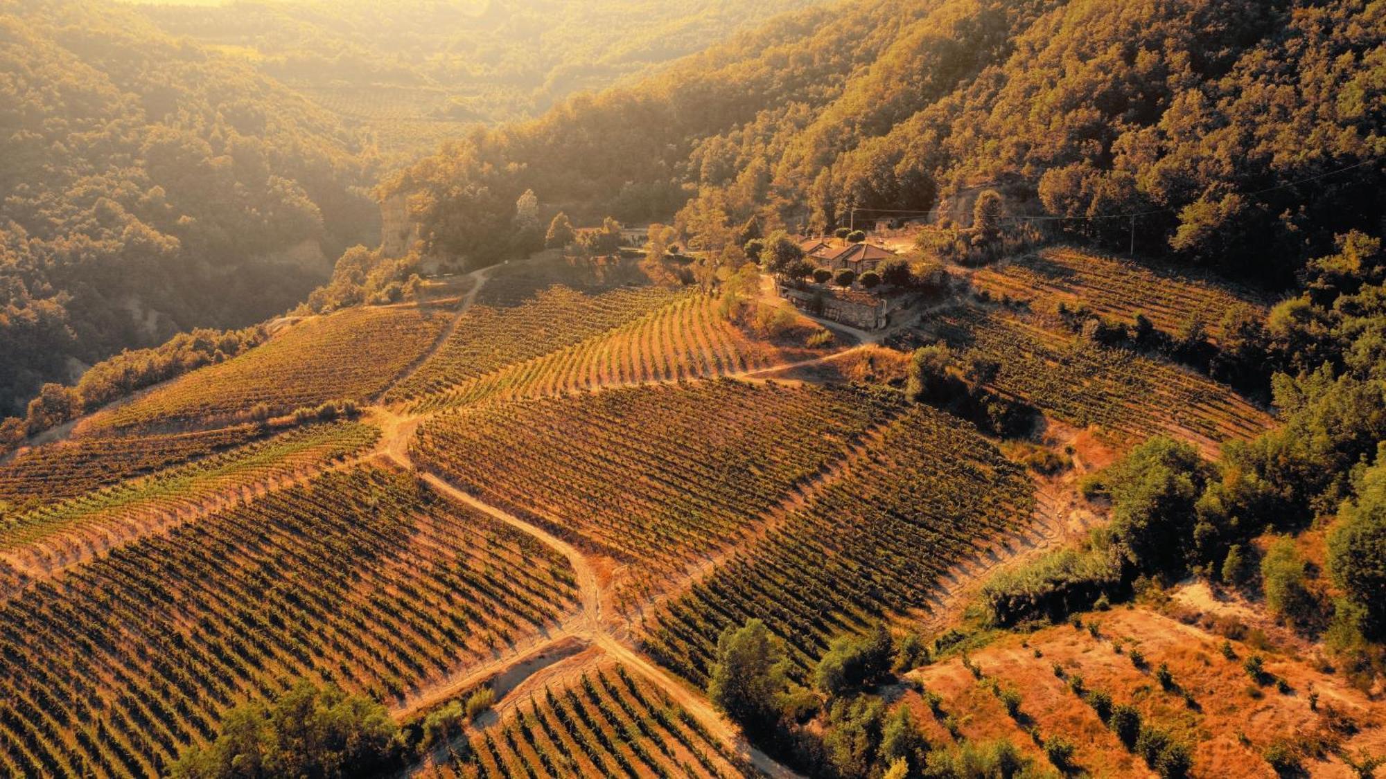 Cascina Bertolotto Wine Resort Spigno Monferrato Dış mekan fotoğraf